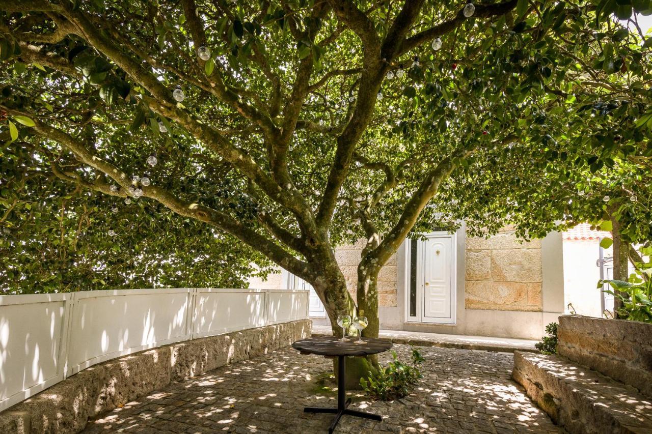 Villa Casa De Ferreira Cinfães Exterior foto